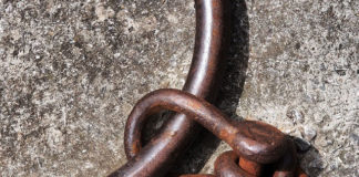 Czym są szekle i do czego służą?