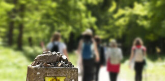 Pielgrzymki XXI wieku