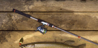 Dlaczego warto wędkować