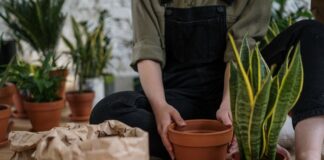 Spodnie robocze typu ogrodniczki