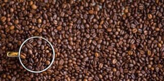 Czym wyróżnia się brazylijska kawa