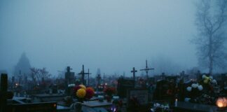 Wkłady do zniczy Bispol