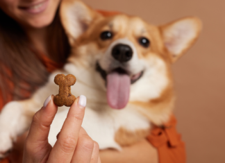 Przysmaki na spacer i do kieszeni