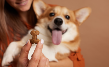 Przysmaki na spacer i do kieszeni